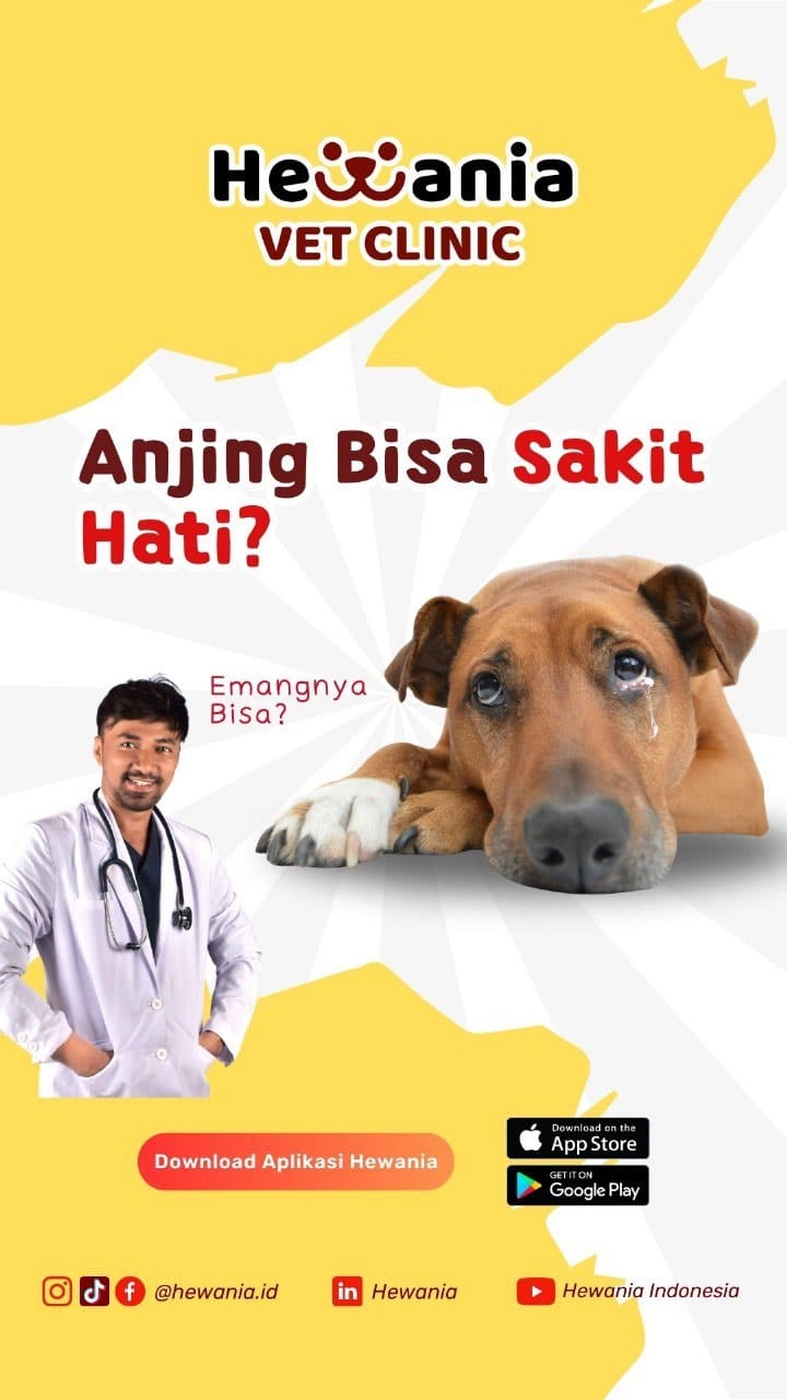 Post 8 by Farhan Abdul Hasan on Instagram (video)