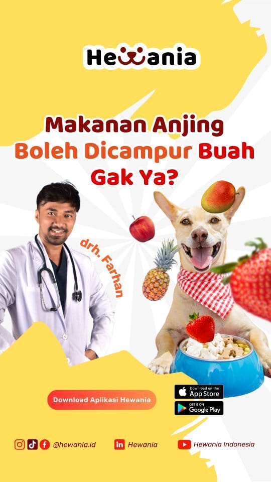 Post 5 by Farhan Abdul Hasan on Instagram (video)