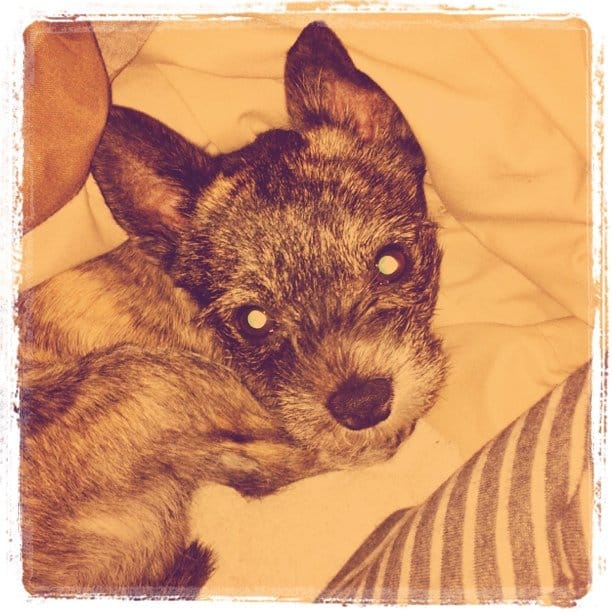 Post 1 by @naocha on Instagram (image)