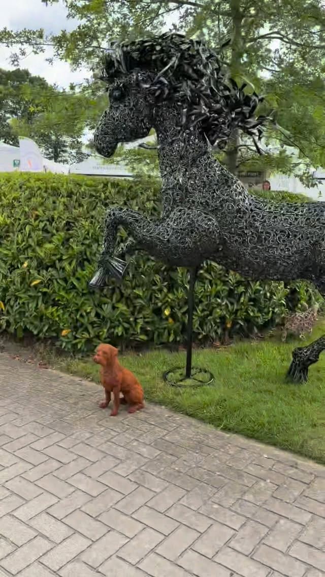 Post 3 by Outdoor Gelderland on Instagram (video)