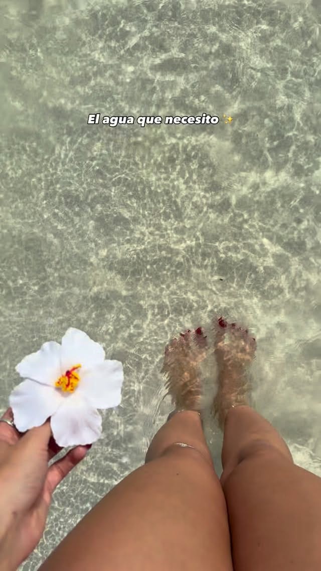 Post 8 by Nanda Brito on Instagram (video)