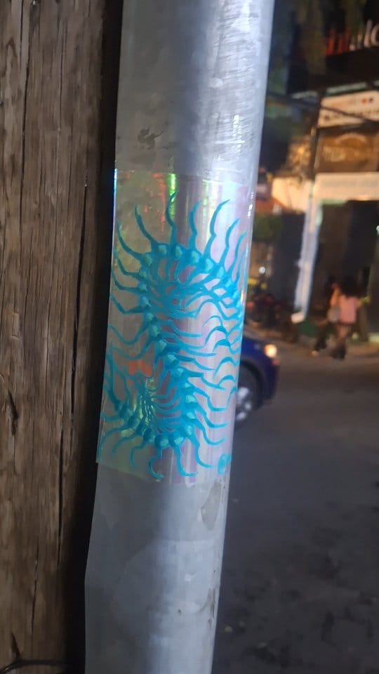 Post 6 by 𝗠𝗶𝗸𝗮 𝐂𝐫𝐢𝐩𝐩𝐚 on Instagram (video)