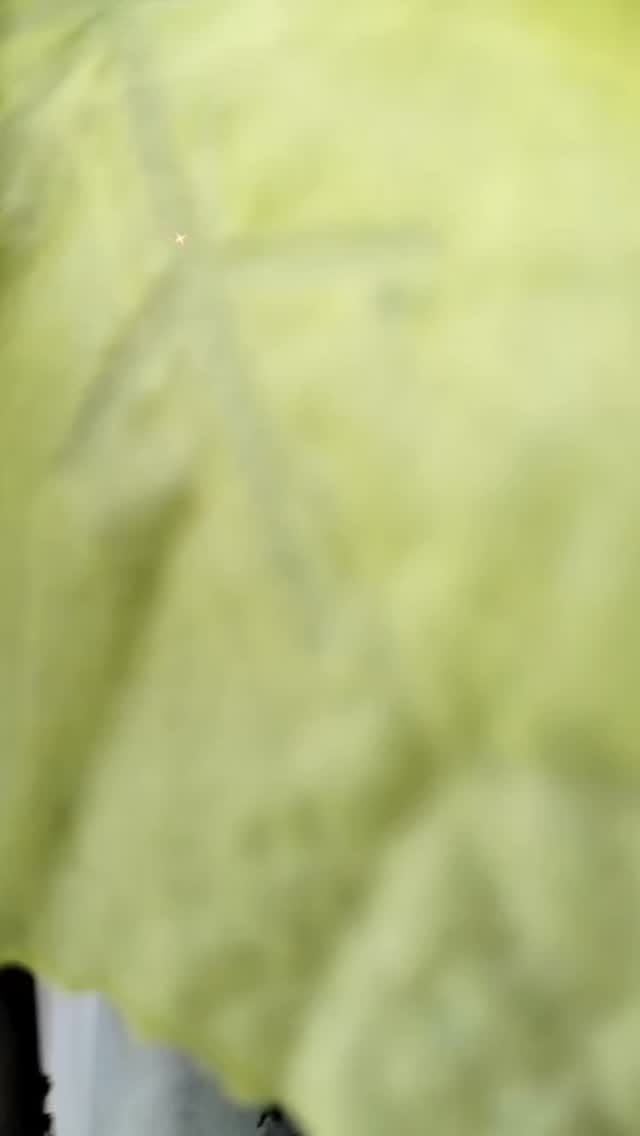Post 1 by R ♥️ i  Love 🫰❤️🥰 on Instagram (video)