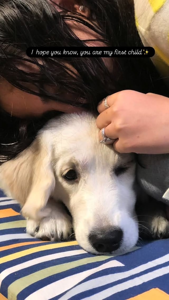 Post 10 by Simran Taneja  | Jai GuruJi 🧿 on Instagram (video)