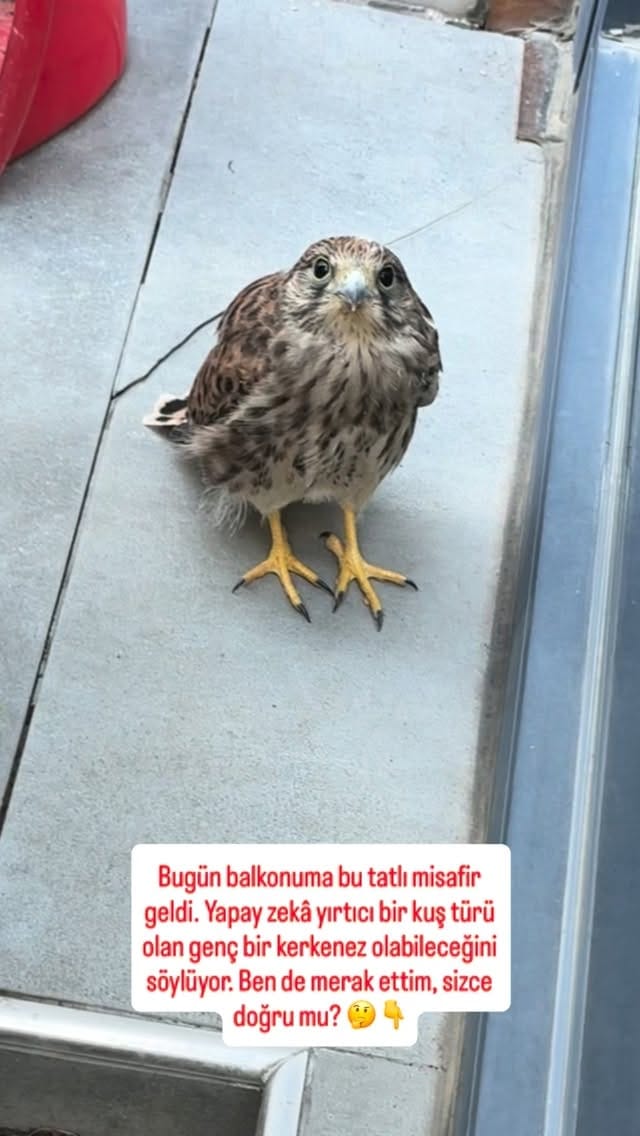 Post 4 by Gülizar Kızılkaya on Instagram (video)