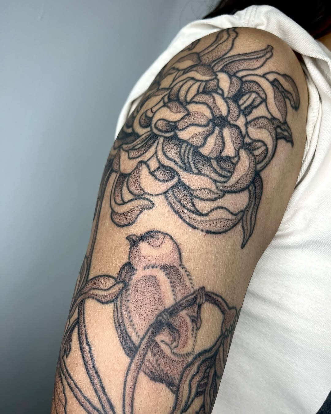 Post 8 by Mort on Instagram (carousel)