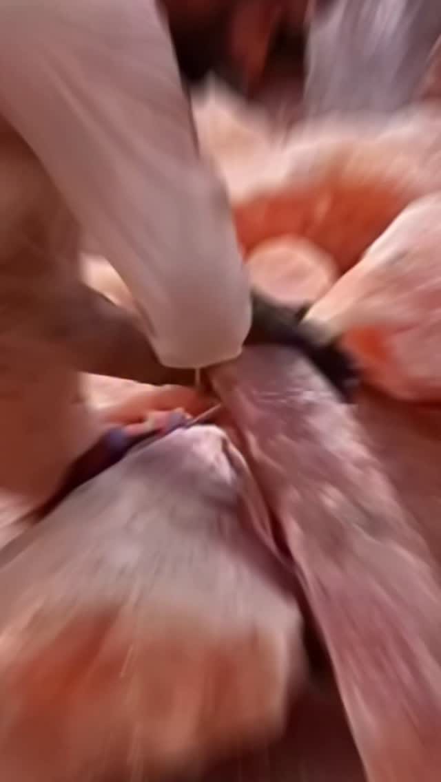Post 8 by Untapped India on Instagram (video)
