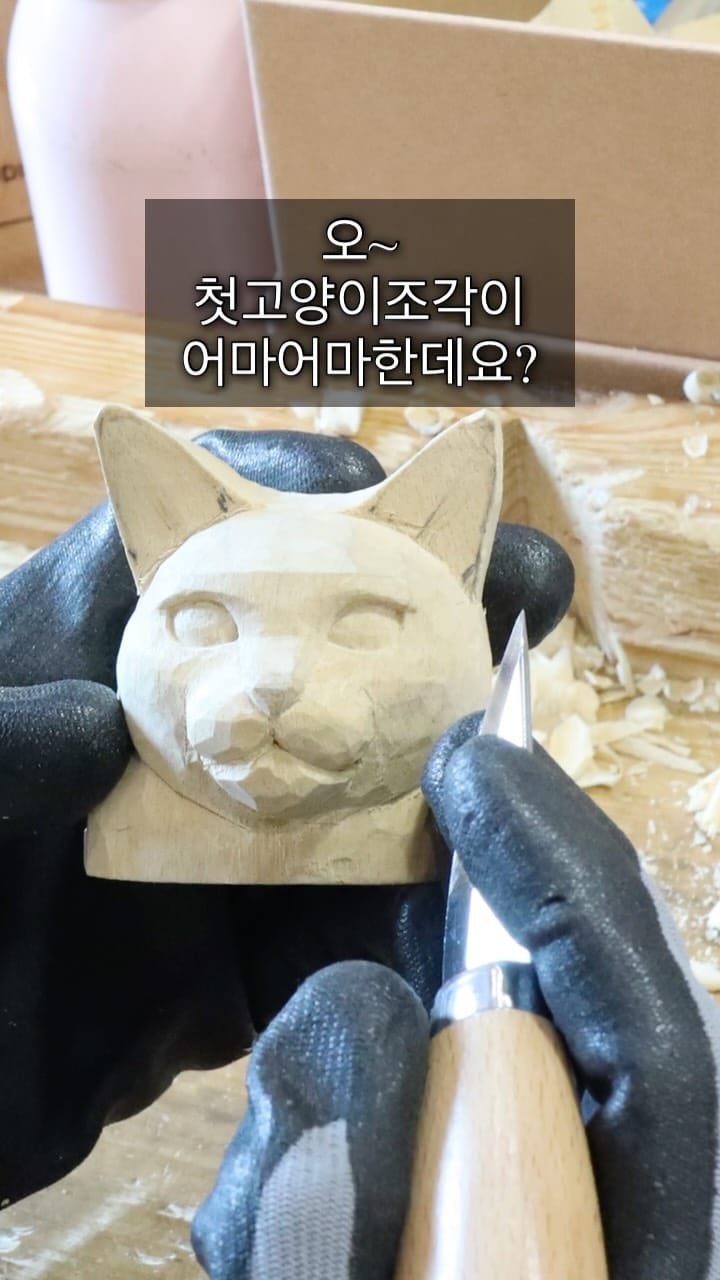 Post 1 by 앤캣 on Instagram (video)