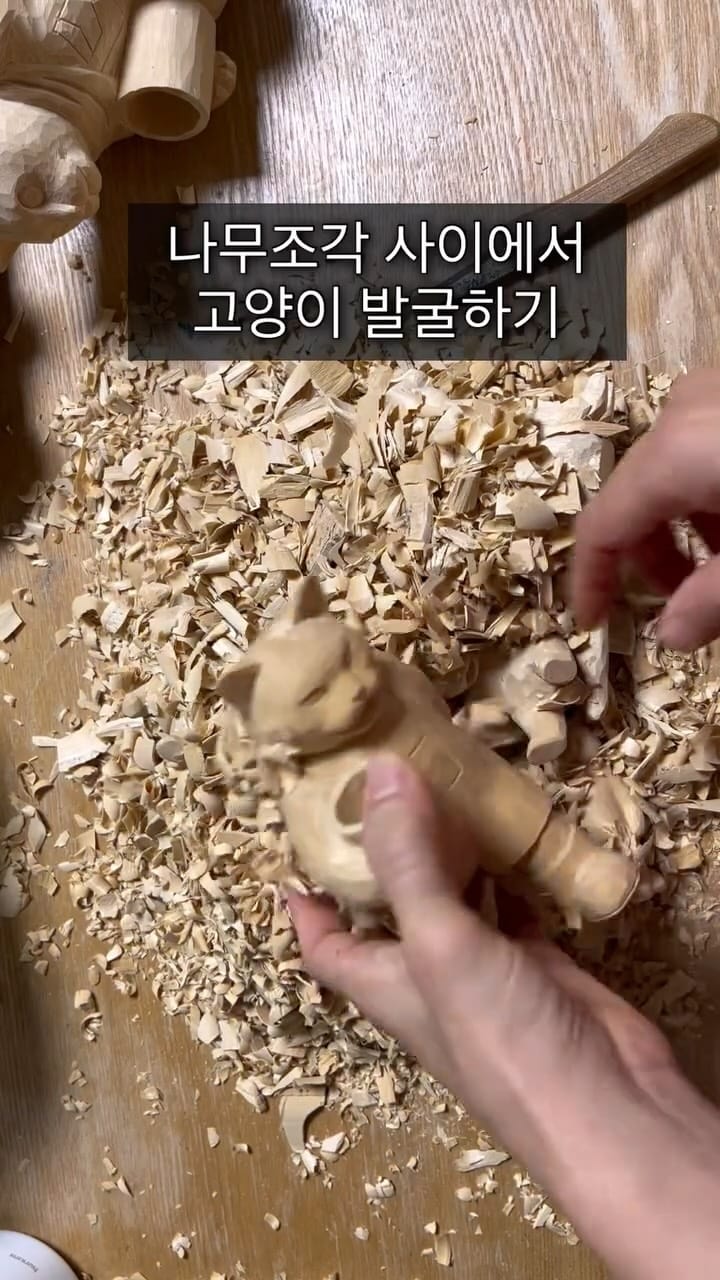 Post 4 by 앤캣 on Instagram (video)