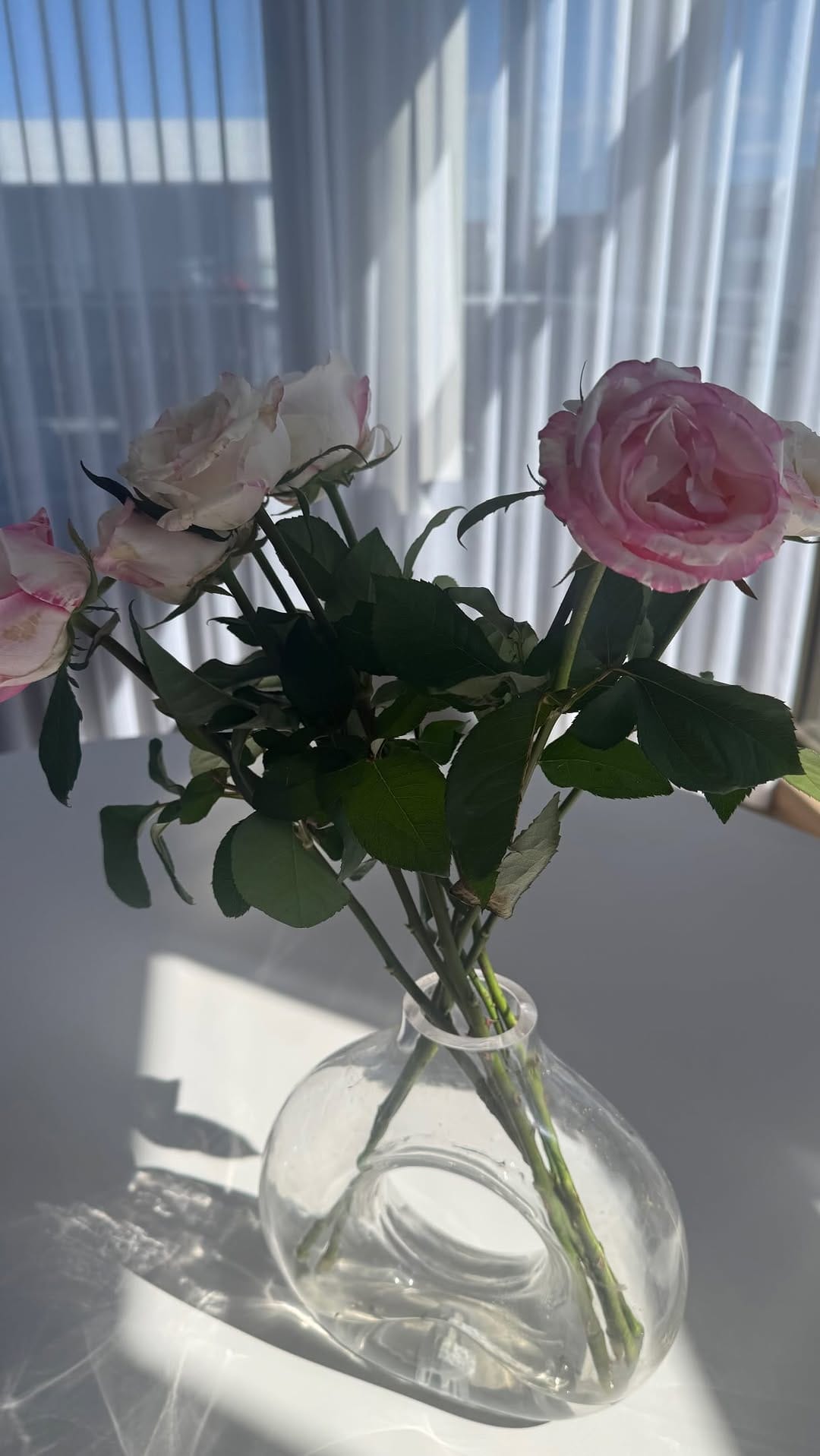 Post 5 by Rosaline Thembizwa Kanneh on Instagram (video)
