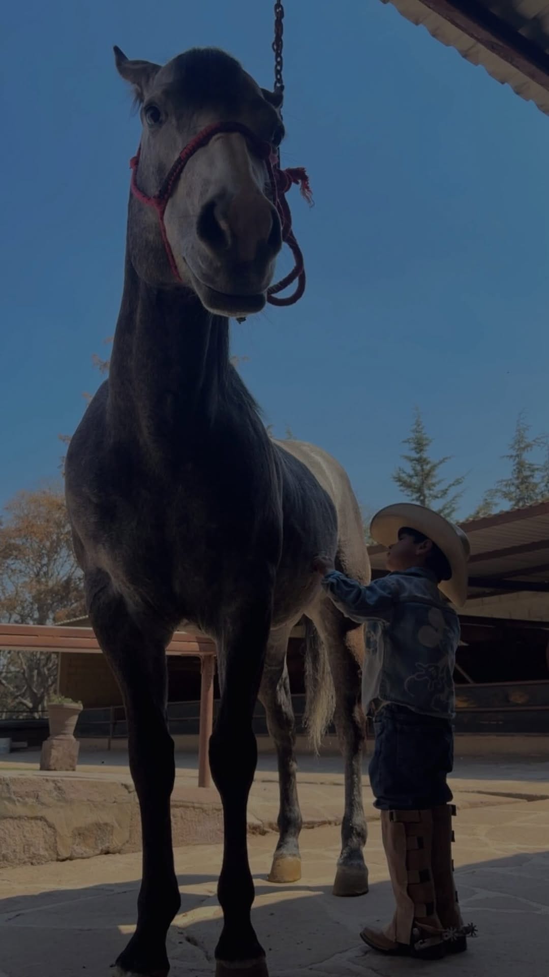 Post 3 by Macarena| Mama blogger  | Cowgirl on Instagram (video)