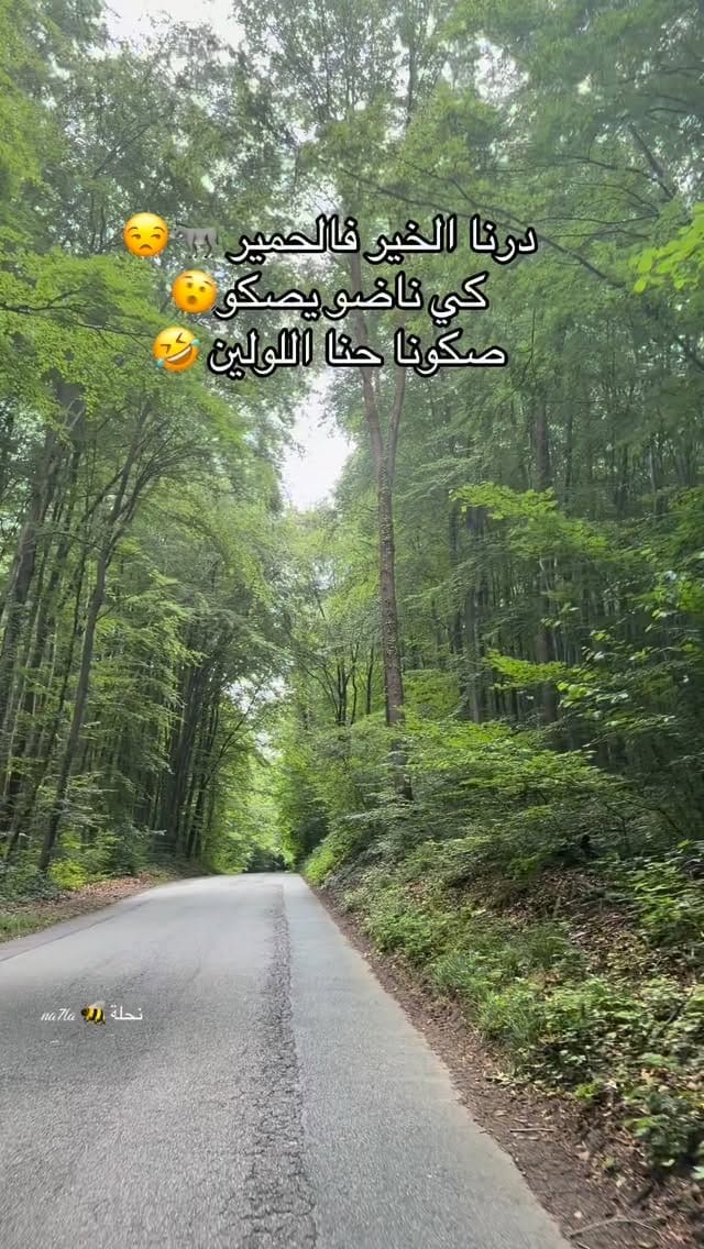 Post 4 by Insaf Nehili | إنصاف نحيلي on Instagram (video)