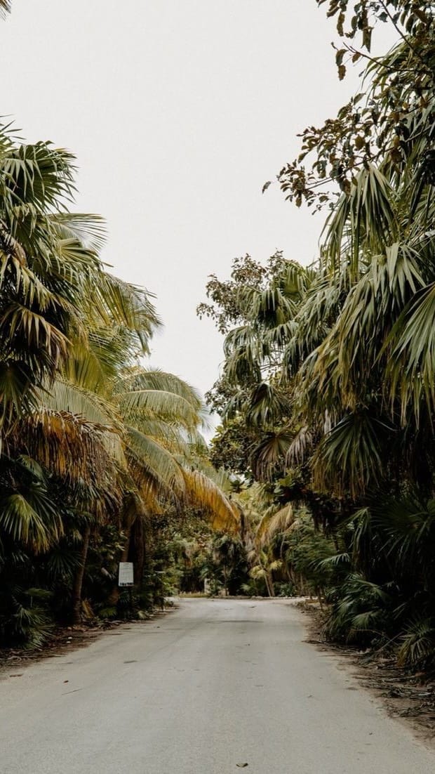 Post 4 by Spiritum Tulum on Instagram (video)