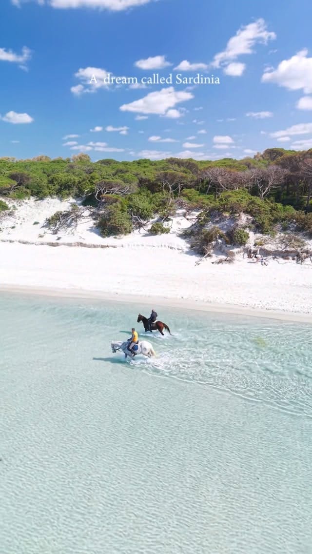 Post 7 by Alessandro Guidi 🏝️Sardinia on Instagram (video)