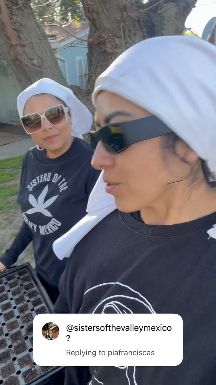 Post 2 by Sisters of the Valley Mexico on Instagram (video)