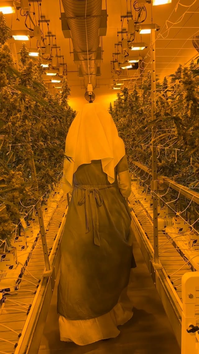 Post 10 by Sisters of the Valley Mexico on Instagram (video)