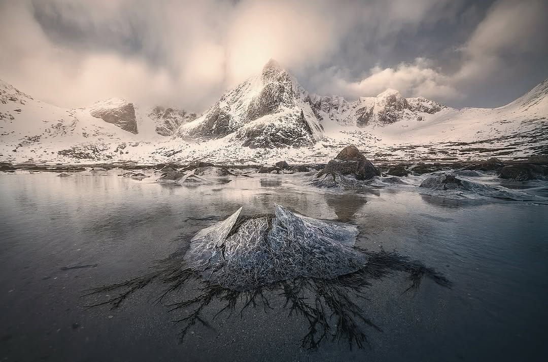 Post 5 by NICO RINALDI PHOTOGRAPHY on Instagram (image)