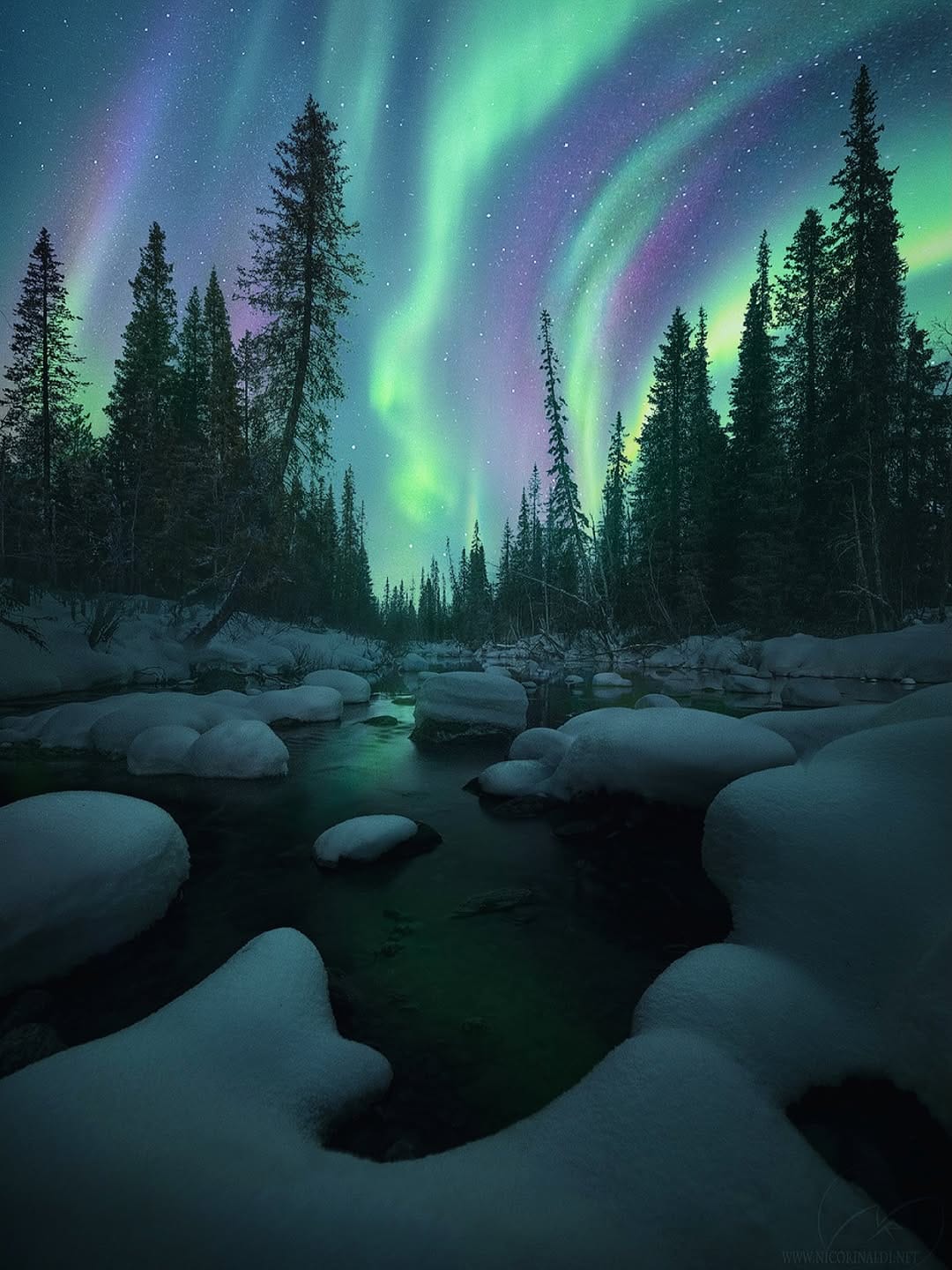 Post 4 by NICO RINALDI PHOTOGRAPHY on Instagram (image)