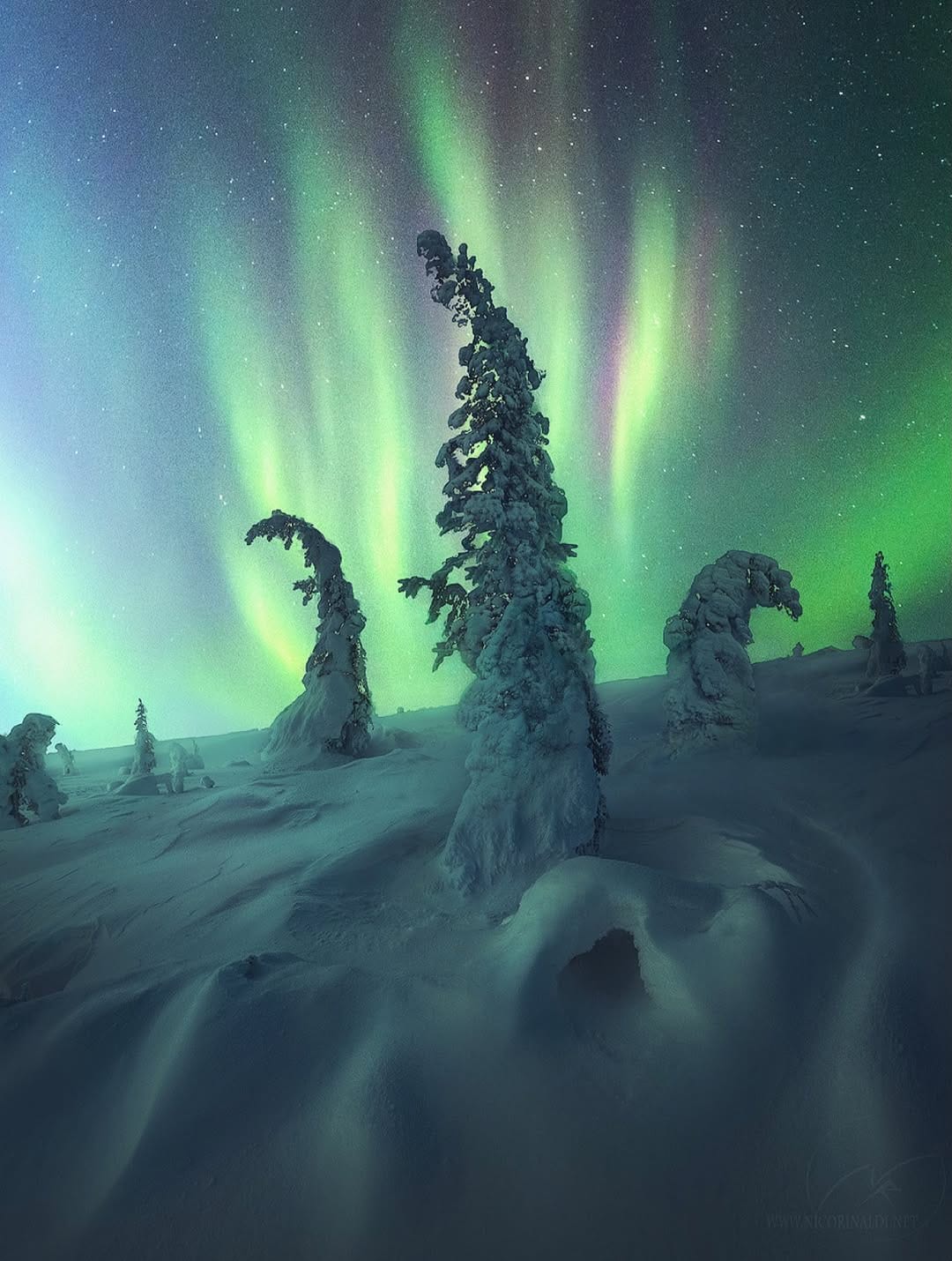 Post 2 by NICO RINALDI PHOTOGRAPHY on Instagram (image)