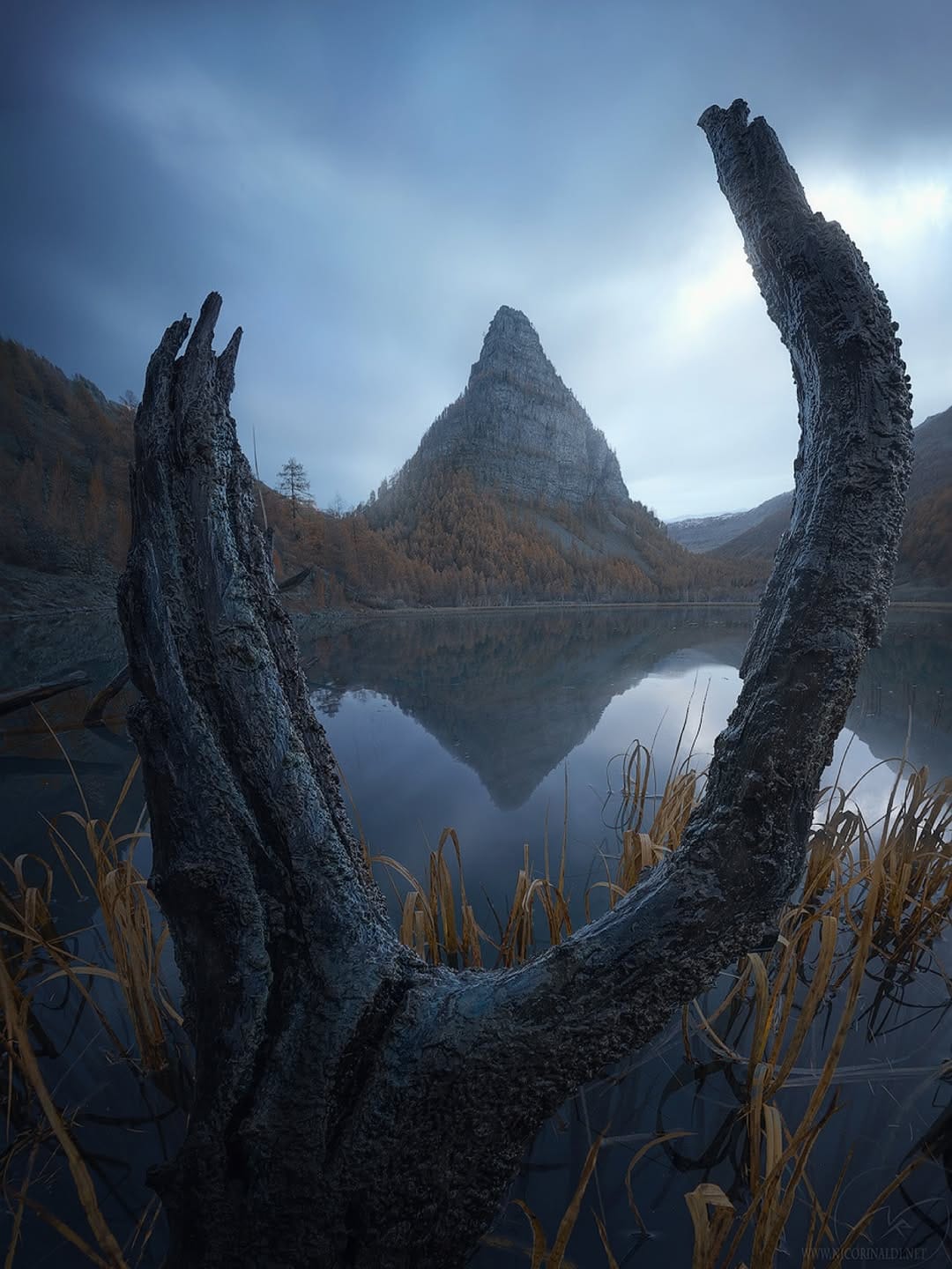 Post 6 by NICO RINALDI PHOTOGRAPHY on Instagram (image)