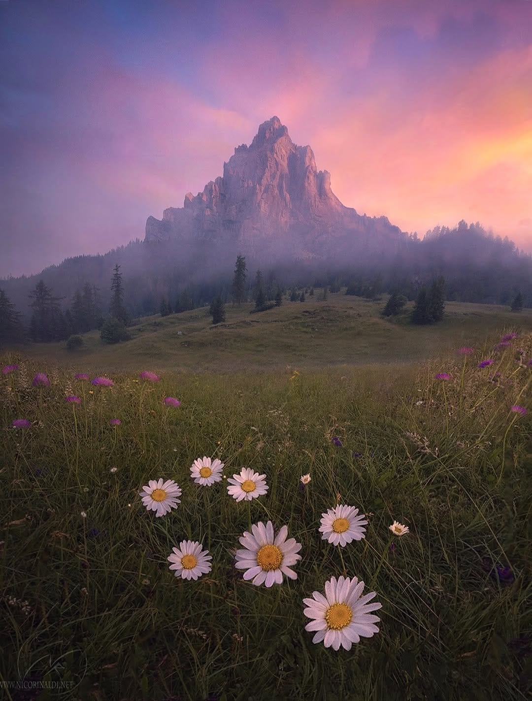 Post 8 by NICO RINALDI PHOTOGRAPHY on Instagram (image)