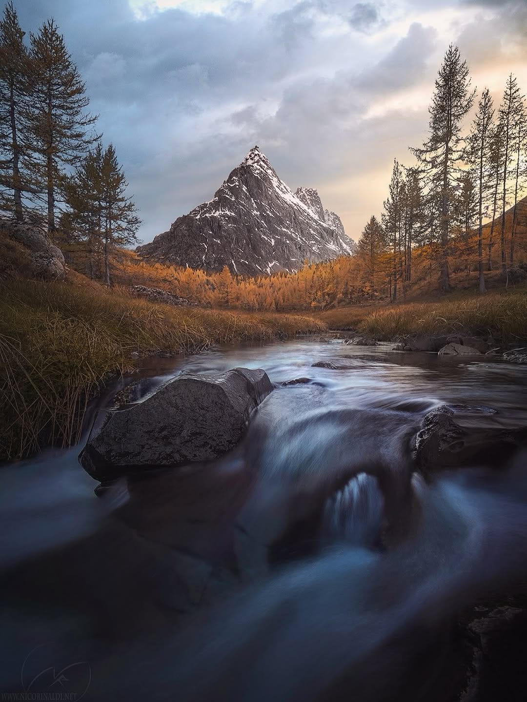 Post 7 by NICO RINALDI PHOTOGRAPHY on Instagram (image)
