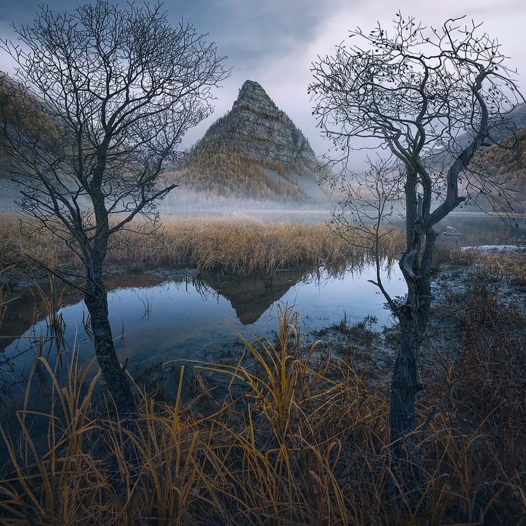 Post 10 by NICO RINALDI PHOTOGRAPHY on Instagram (image)