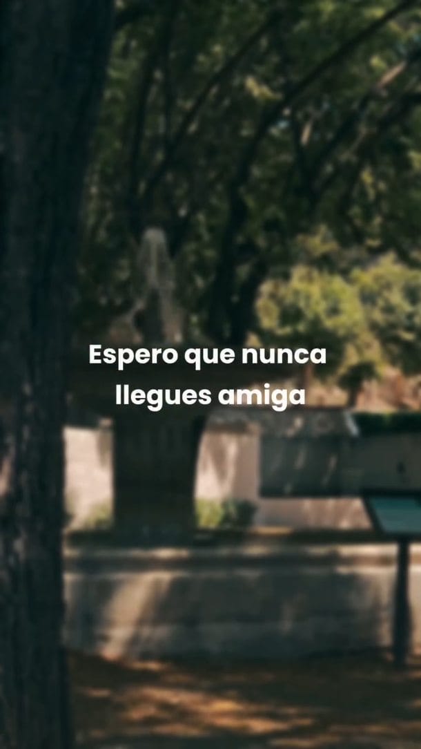 Post 3 by Nicole Correa on Instagram (video)