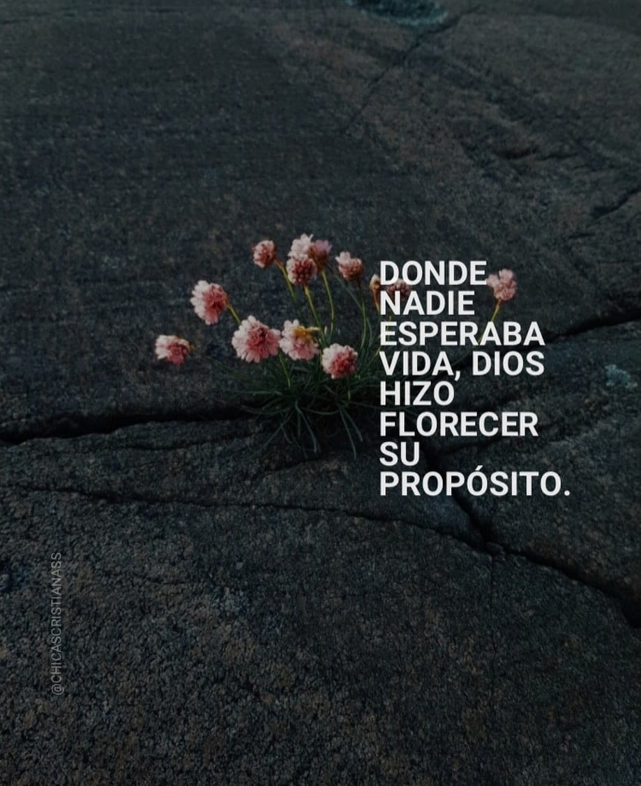 Post 8 by 👑💞Chicas Cristianas💞📖👒 on Instagram (image)