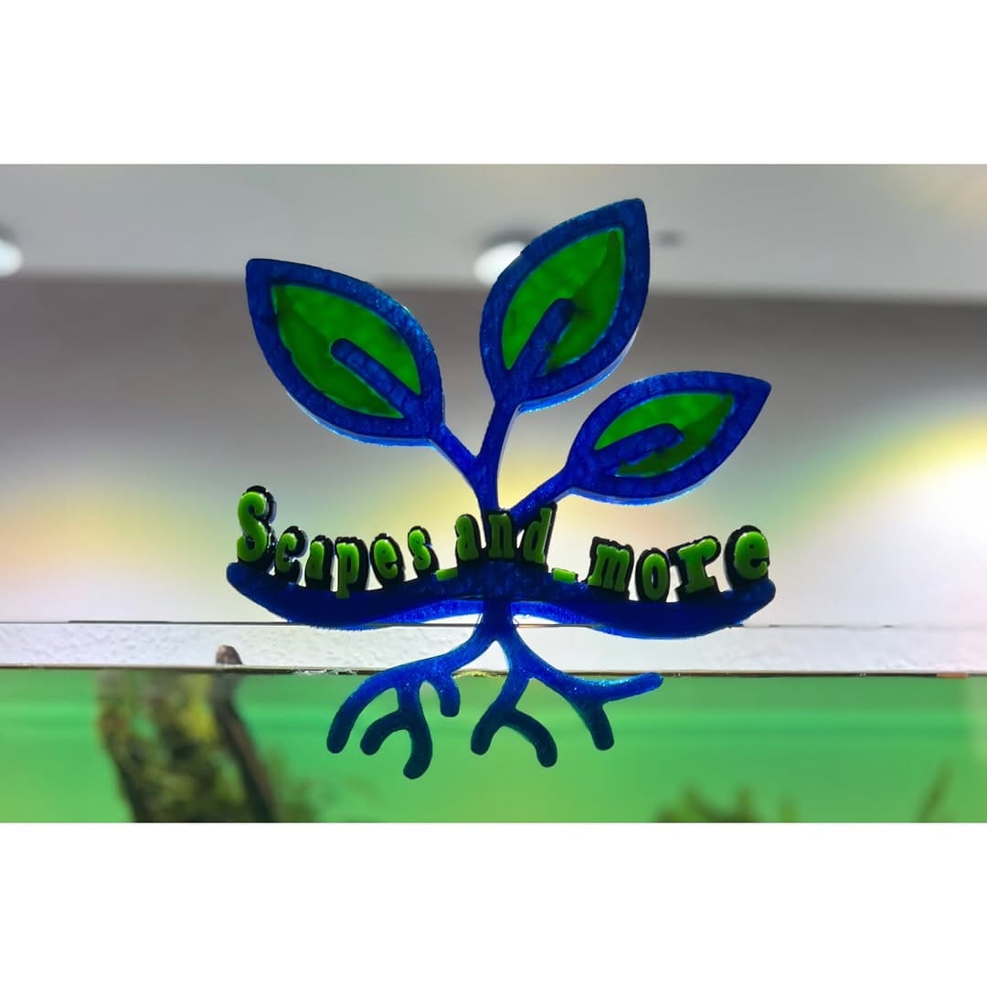 Post 4 by 🌱Scapes_and_more Aquariumservice 🏞 on Instagram (carousel)