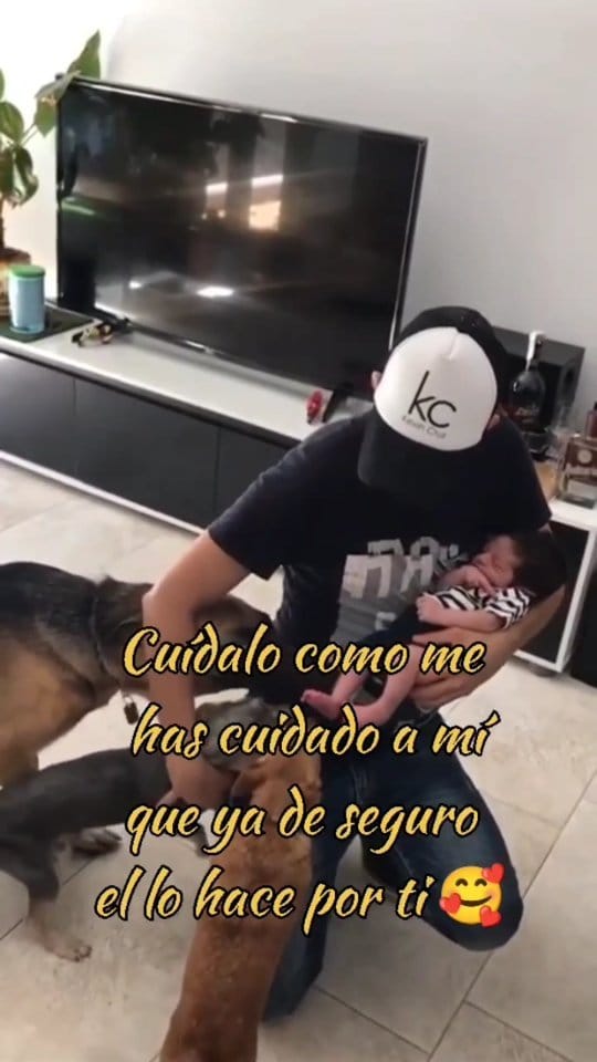 Post 5 by Duke 🐕Scooby🦮 Blondie 🐕 on Instagram (video)