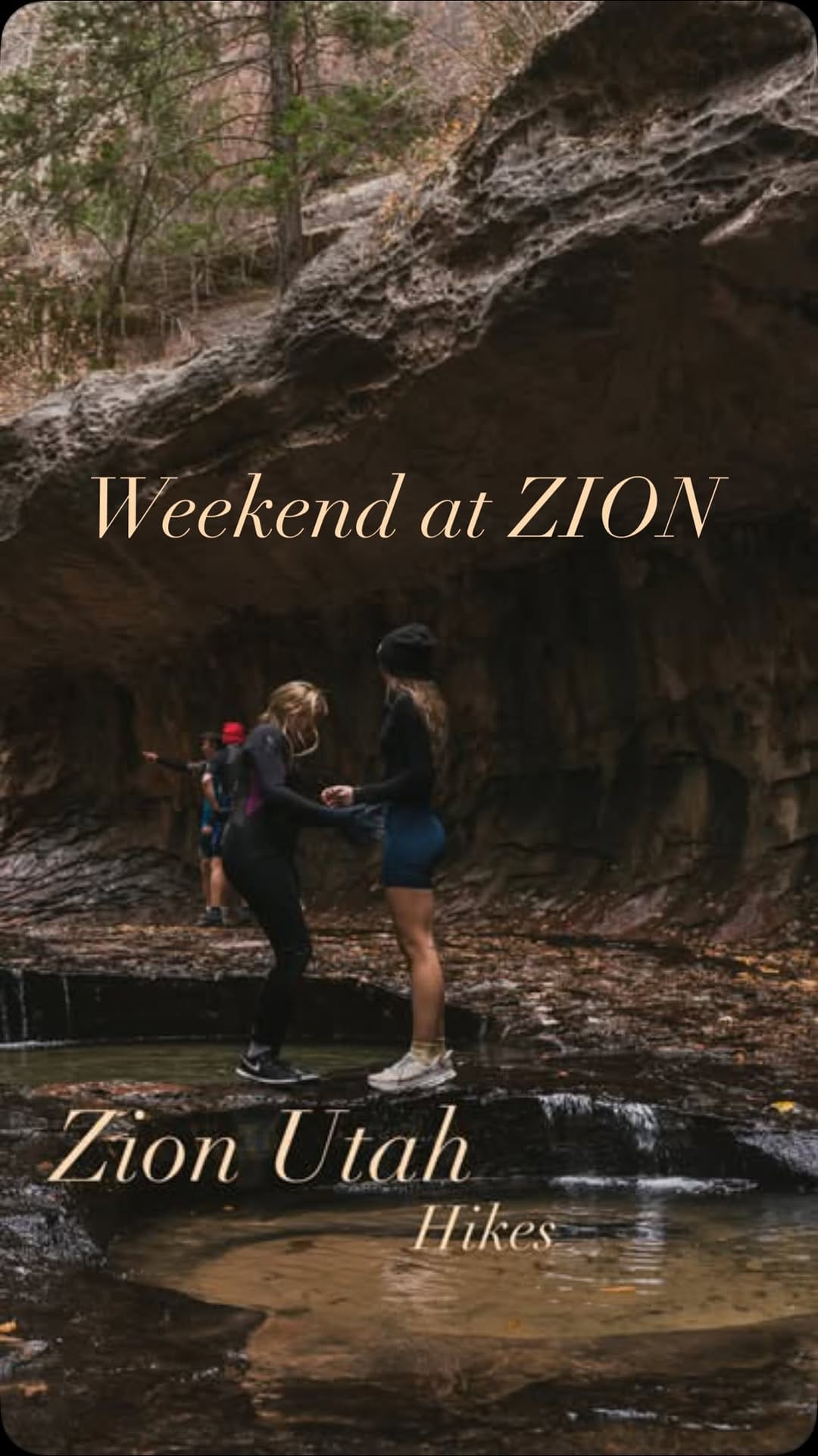 Post 10 by Zanna Perry on Instagram (video)