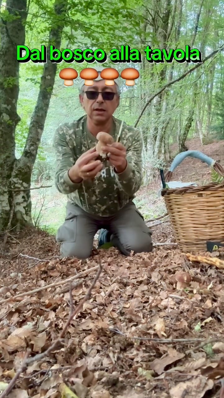 Post 3 by ᑕᗩᖇᗰᎥᑎᗴ | Food Content Creator on Instagram (video)