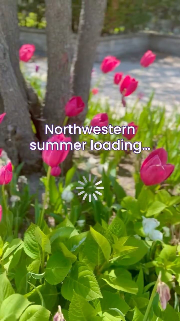 Post 6 by Northwestern Student Affairs on Instagram (video)