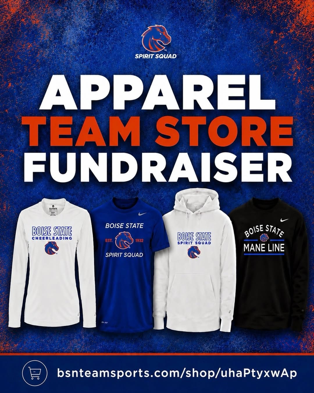 Post 2 by Boise State Spirit Squad on Instagram (image)