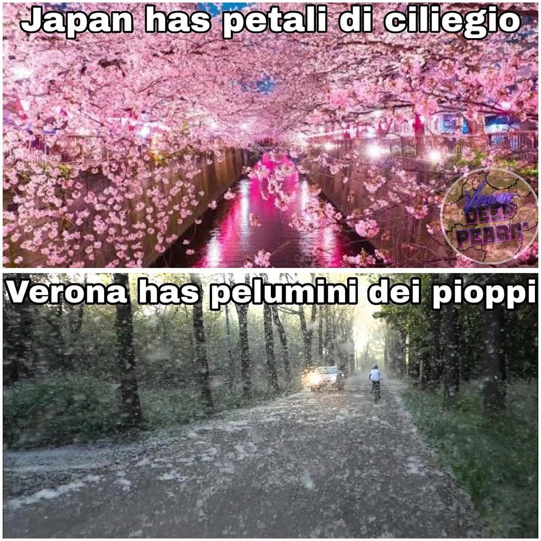 Post 5 by Verona Deep Pearà on Instagram (image)