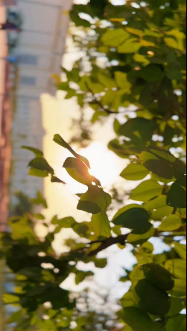 Post 9 by IIM Bodh Gaya on Instagram (video)