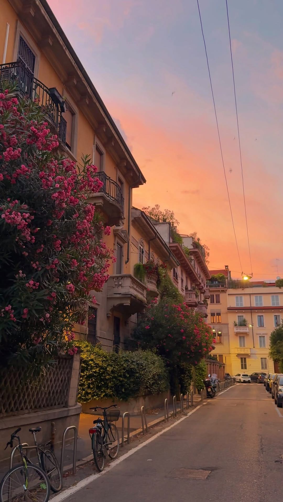 Post 1 by Alberto Papagni on Instagram (video)