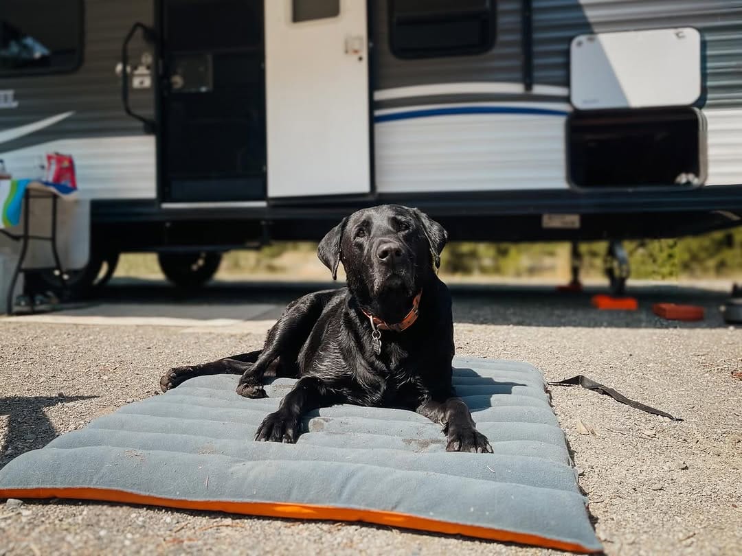 Post 3 by MURRAY + JAKE on Instagram (image)