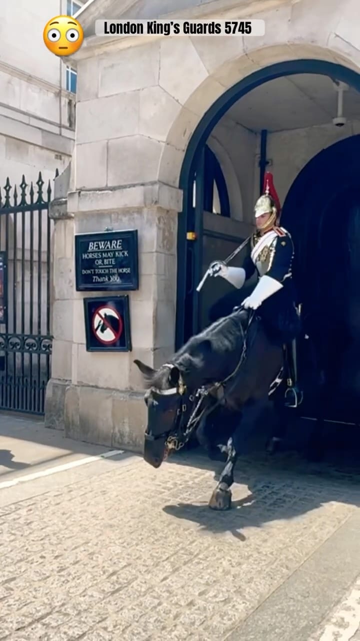 Post 1 by London king’s guards 5745 on Instagram (video)