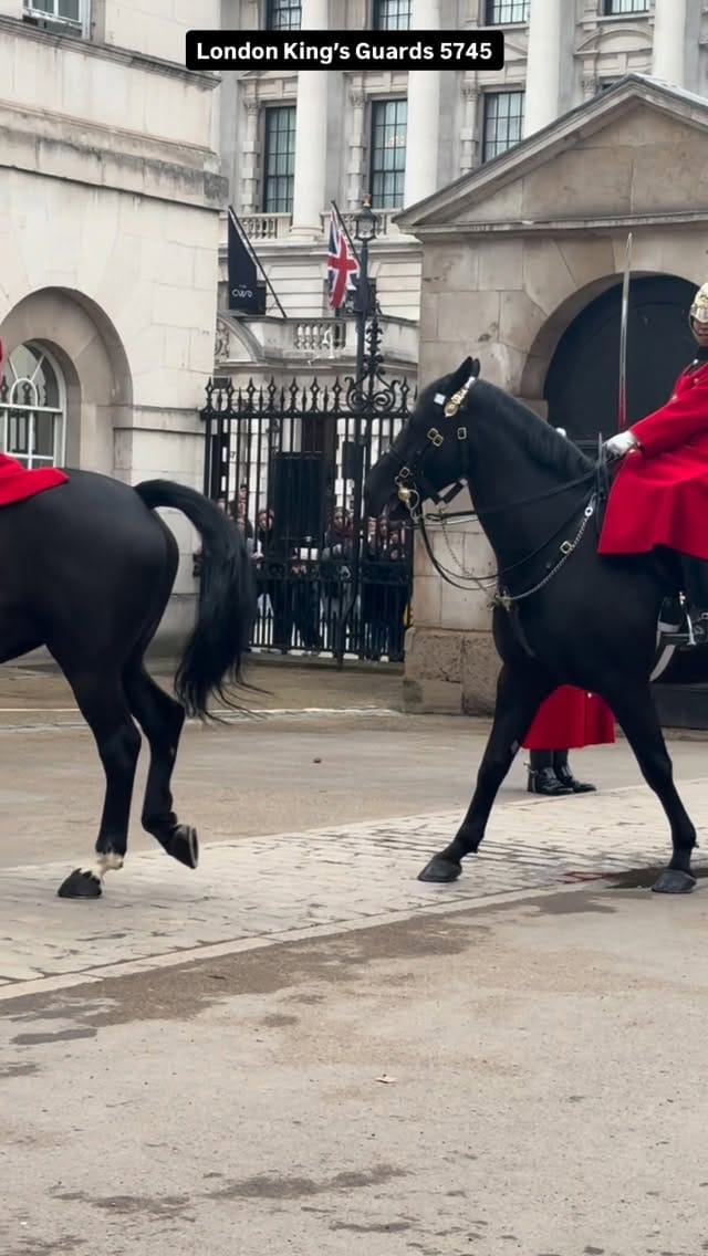 Post 10 by London king’s guards 5745 on Instagram (video)