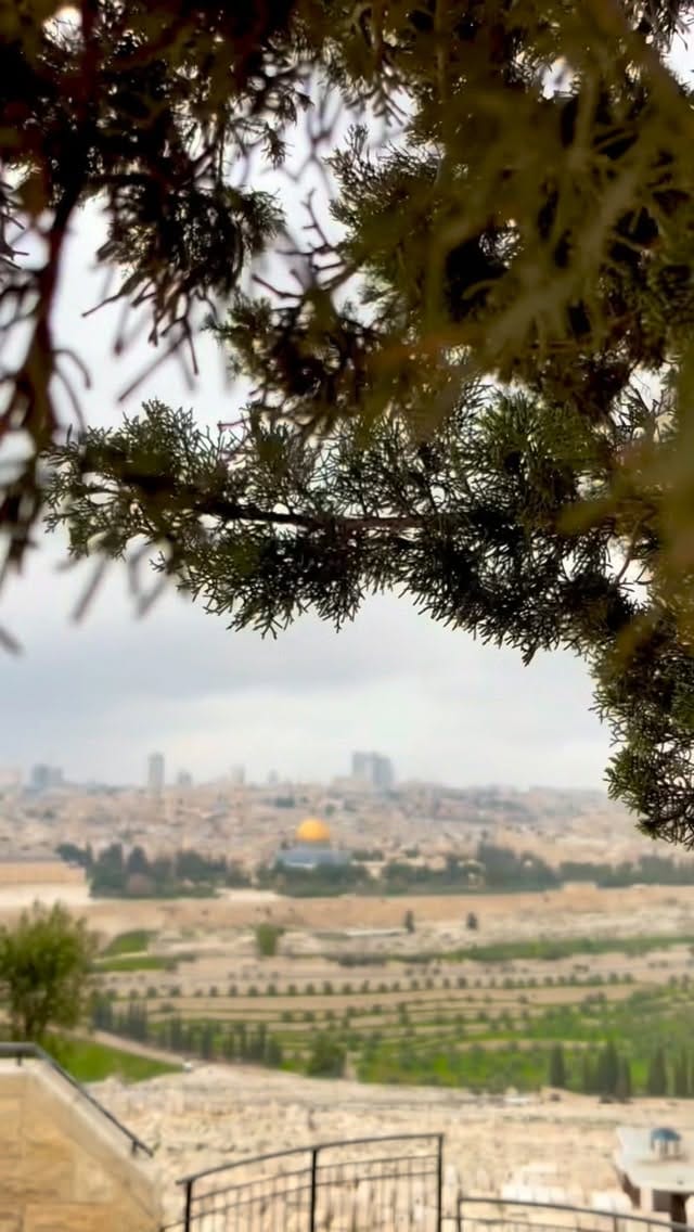 Post 5 by Ramzi Abisan on Instagram (video)