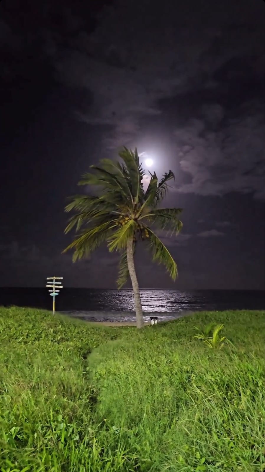 Post 5 by Ricardo Albuquerque | João Pessoa-PB on Instagram (video)