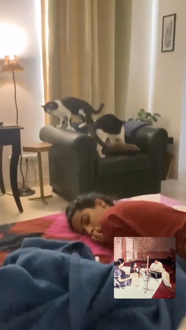 Post 6 by Bawari Basanti on Instagram (video)