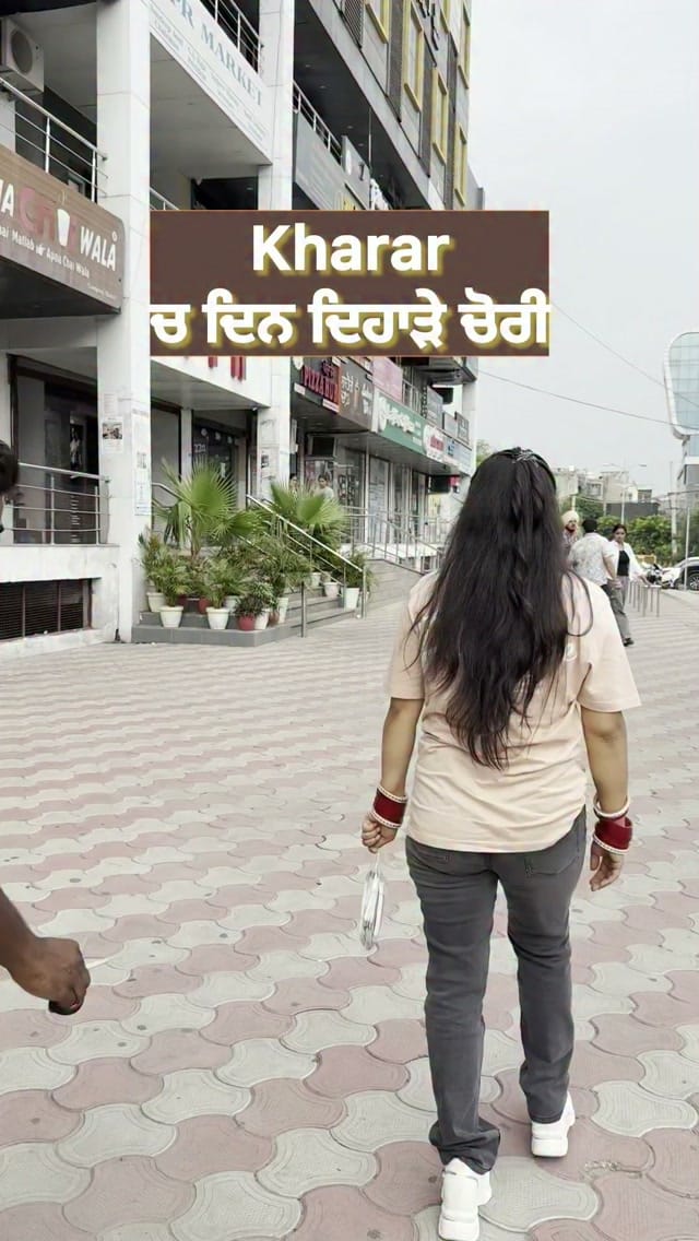 Post 1 by LocalMato_punjabi on Instagram (video)