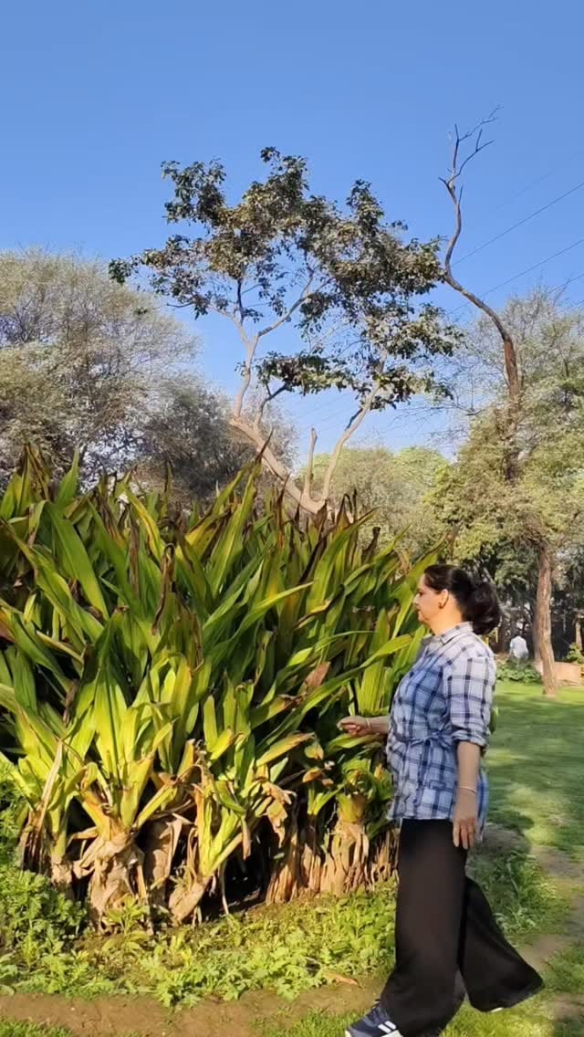 Post 4 by Ritu Sharma on Instagram (video)