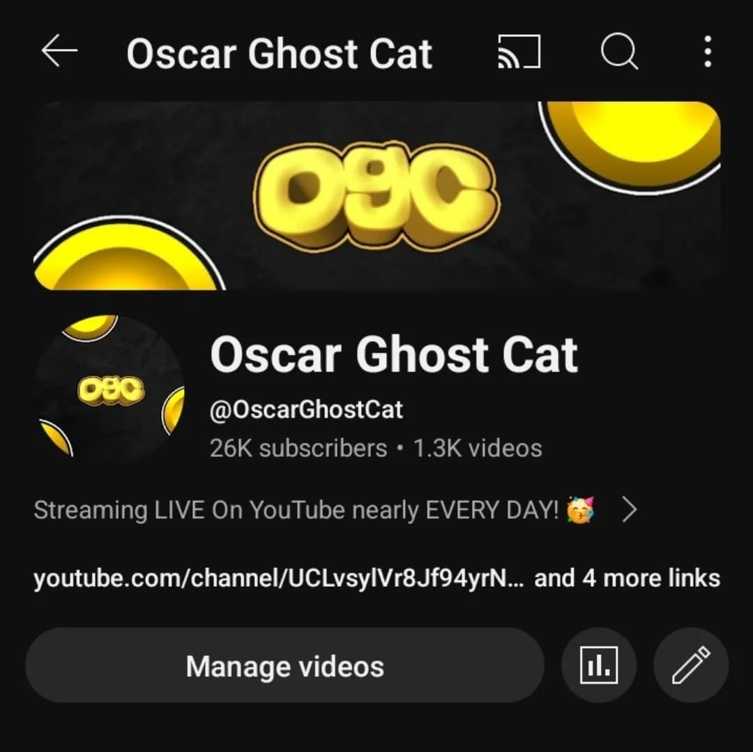 Post 3 by Oscar Ghost Cat on Instagram (image)
