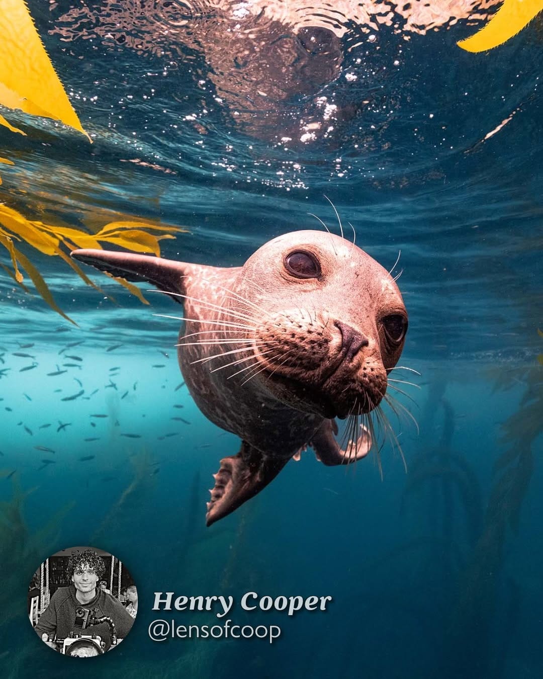 Post 4 by Henry Cooper on Instagram (carousel)
