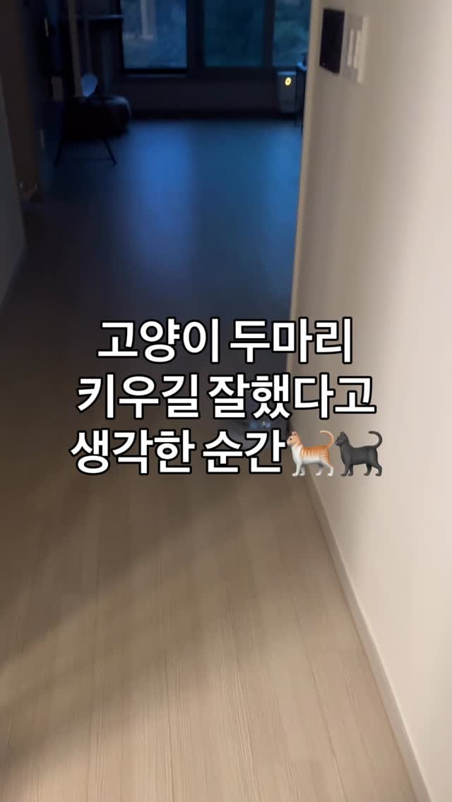 Post 10 by 양옹금옹실 on Instagram (video)