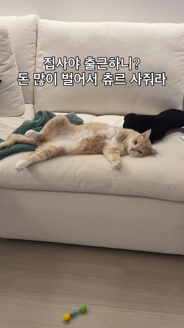 Post 5 by 양옹금옹실 on Instagram (video)